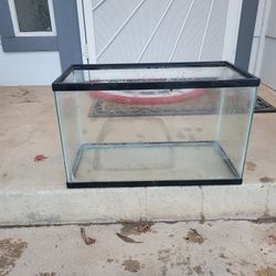 10 Gallon Tank!