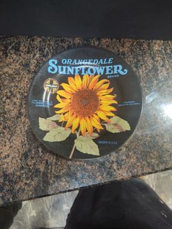 8" Ceramic Sunflower Decor Plate 