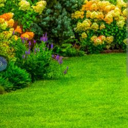 Landscape  A: RR , sprinkler valves timer 