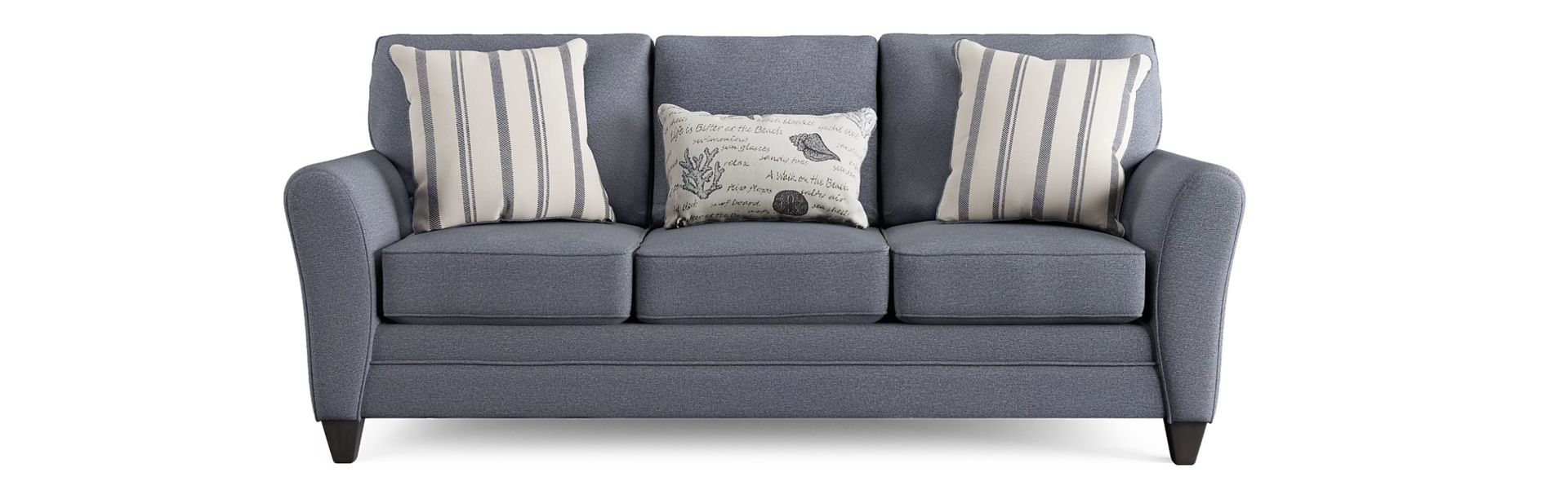 Sleeper Sofa (brand New!)
