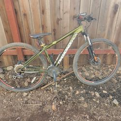 Diamondback apex trail mtn bike......medium rider....29"wheels...24 speed 150.00 obo
