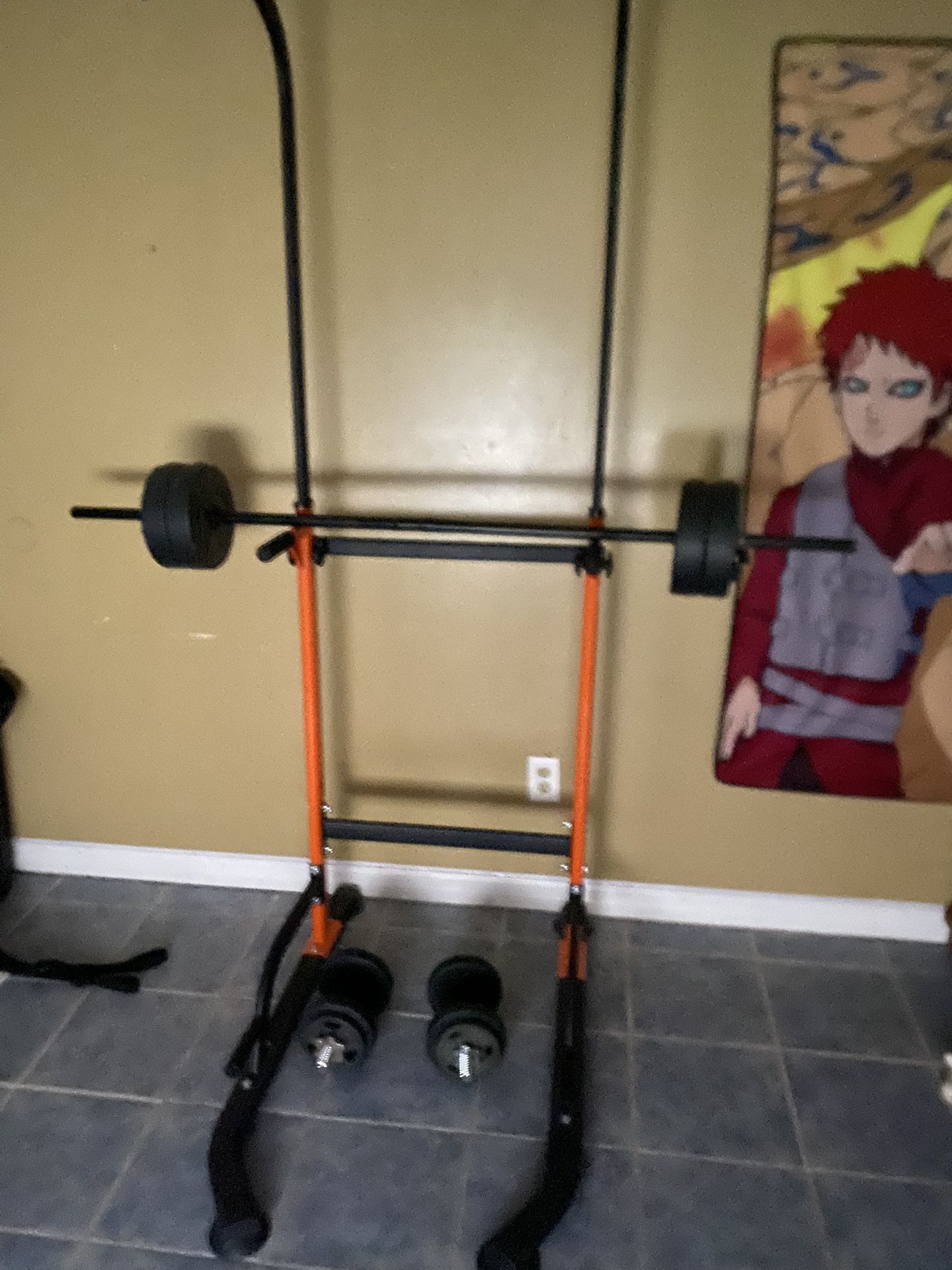 Pull Up Bar And weights