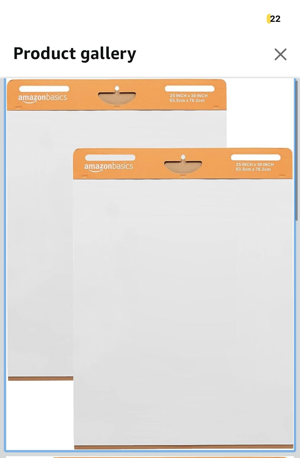 Amazon Basics Sticky Easel Pads
