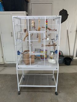 Large bird cage  brand new
