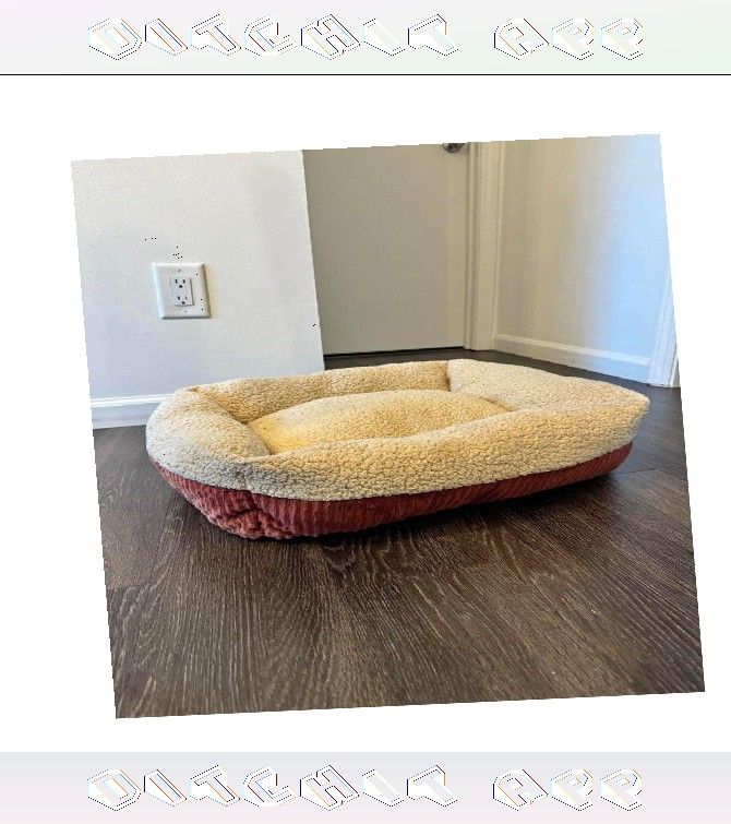 Soft & Cuddly Pet Bed - Best Comfort for Your Furry Companion they must