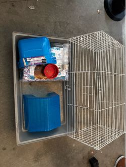 Guinea pig set 16x26”