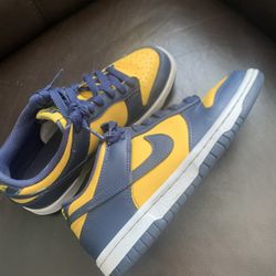 Nike Dunk Michigan 