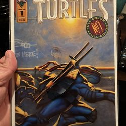 TMNT #1 Volume 2