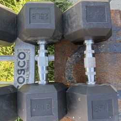 25 lbs dumbbells
