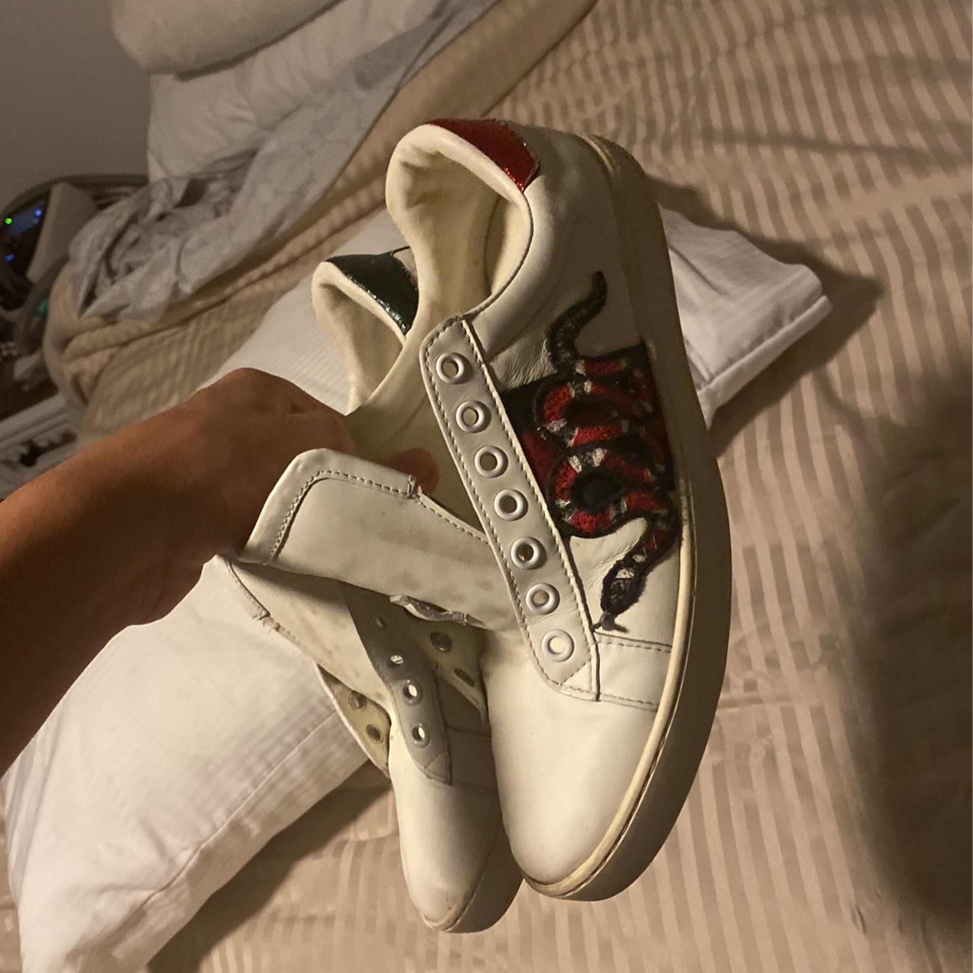 Gucci Shoes 