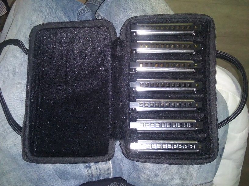 Fender Blues Deluxe Harmonicas