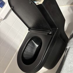 Black Toilet $50