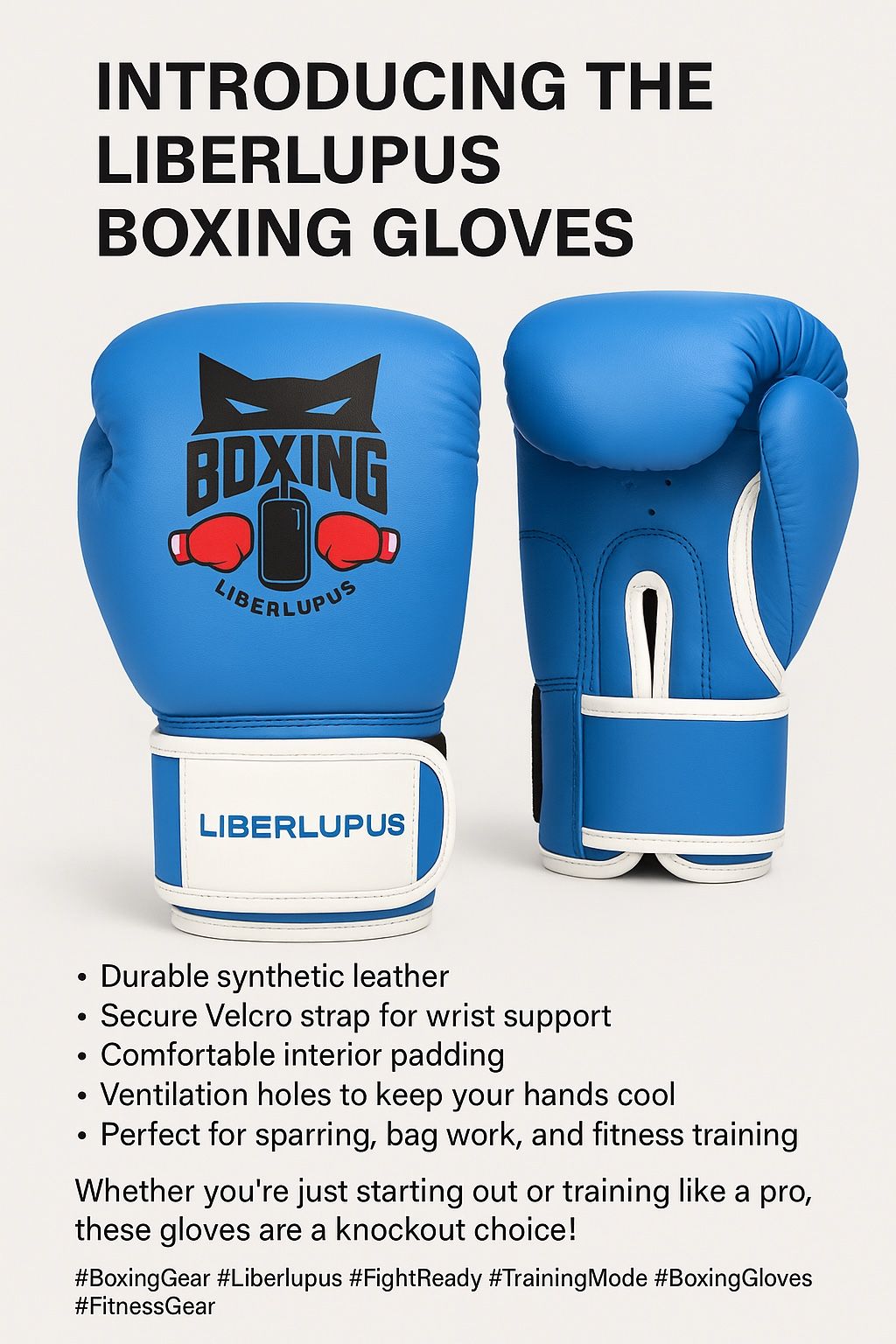 Boxing Gloves