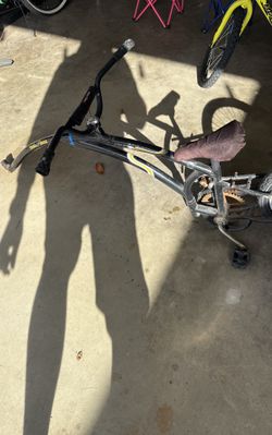 Trail A Bike, Hook Up To Adult Bike And Ki Rides In Back