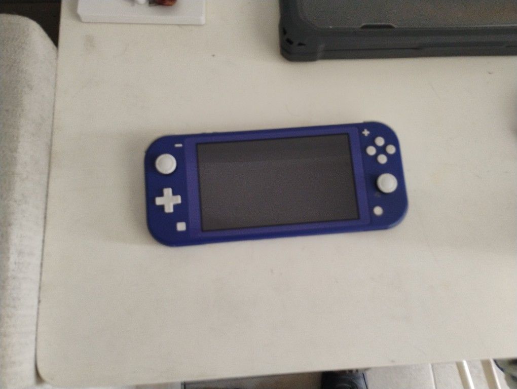 Nintendo Switch (Lite)