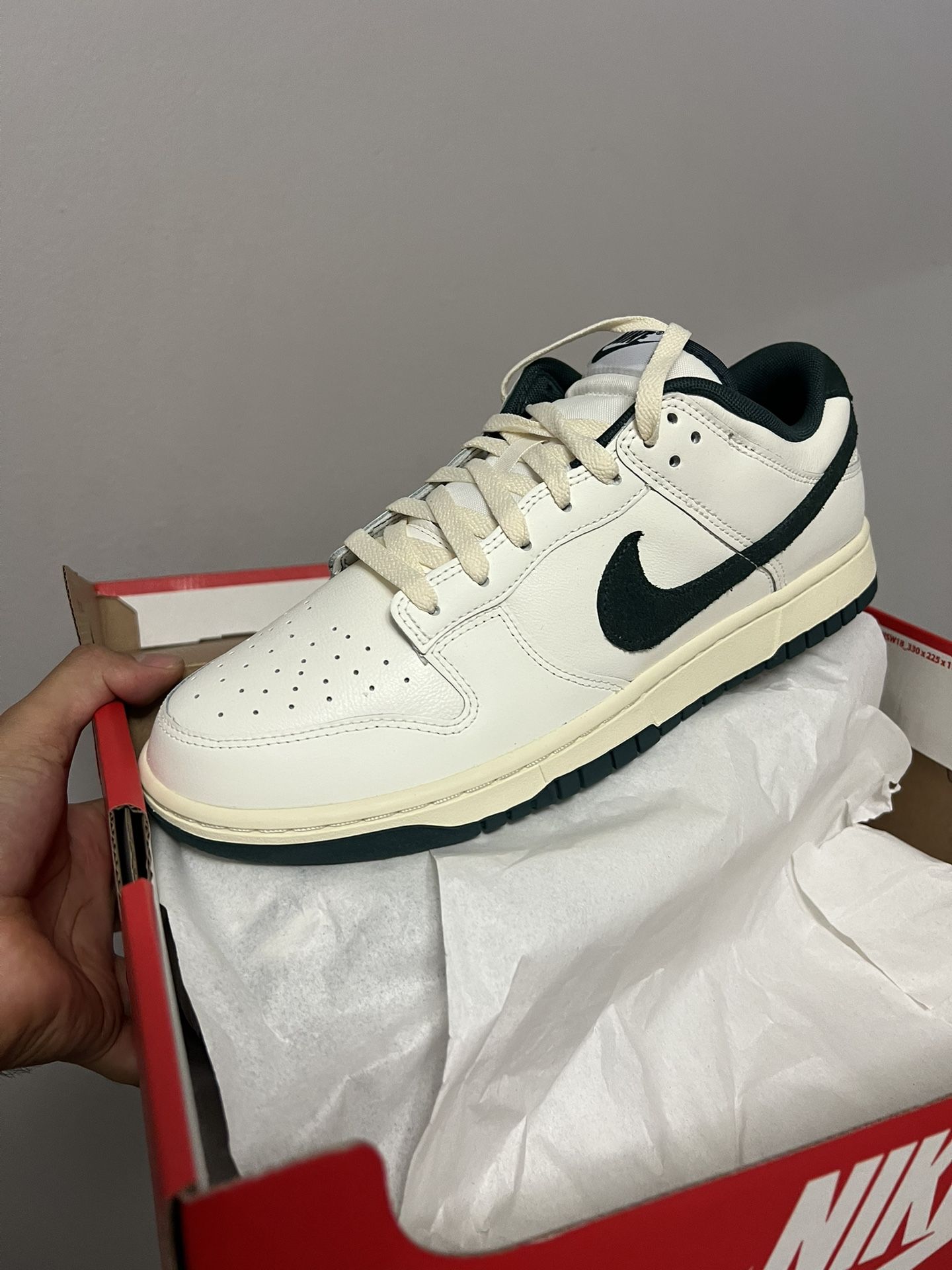 Nike Dunk Size 11