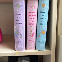 Things We Never Got Over Book Series 