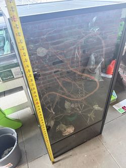 Reptile Cage