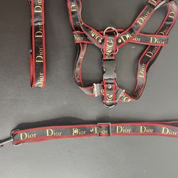 Leash And Harness Or Collar And Leash