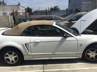 2000 mustang v6