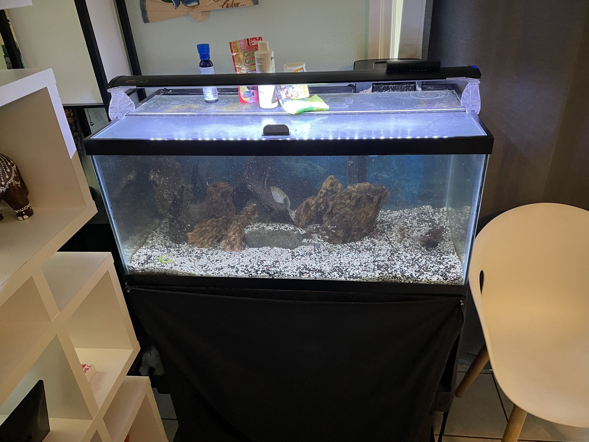 40 Gallon Aquarium With Stand