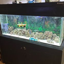 60 gl Tank With Stand 