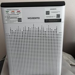 Large Air Purifier