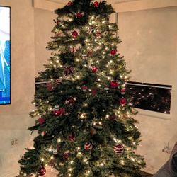 Christmas Tree 9.5 Foot