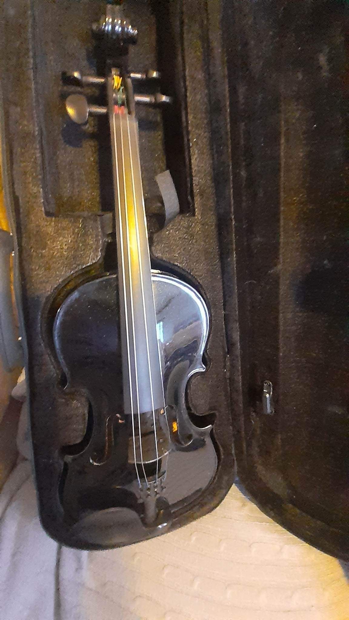 Violin