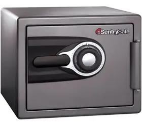 SentrySafe 🔥🔐 Model: MS0100