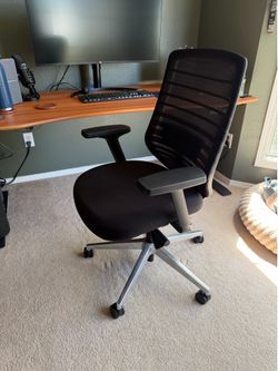 Branch Ergonomic Chair