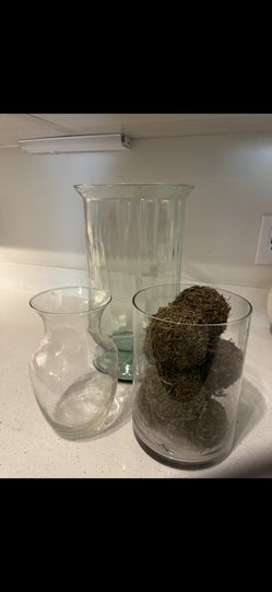 vases
