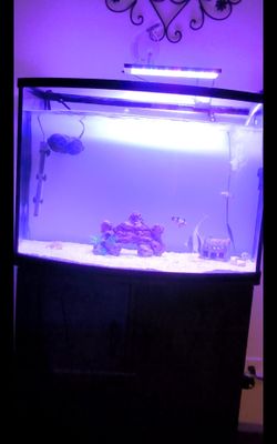 36 gallon fish tank