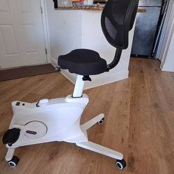 Flexispot Exercise Bike 