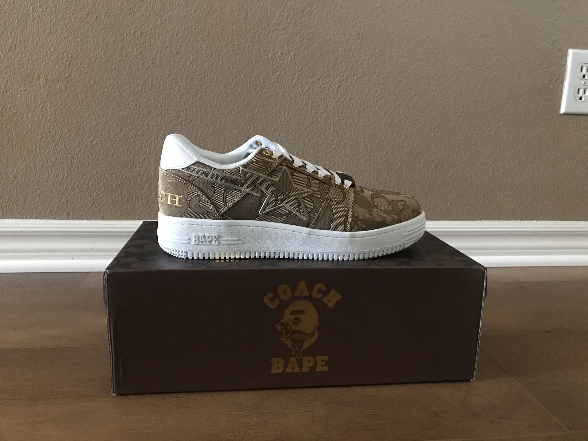 BAPE x coach shoes