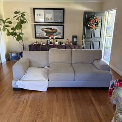 FREE COUCH 