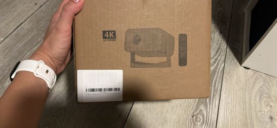 Projector