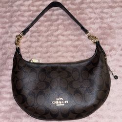 Coach Signature Canvas Payton Bag