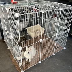 White Great Condition Pet Cage + Supplies