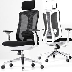 Ergonomic Office Chair