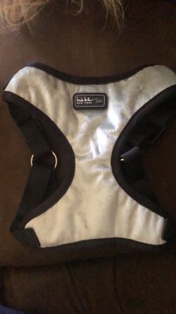 Medium Dog Harness $10