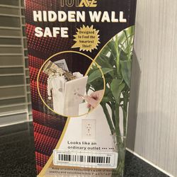 Hidden wall Safe