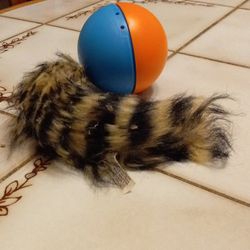 Cat Toy