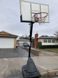 About 2 Years Old Excellent Moving  Shoot Offer $50 