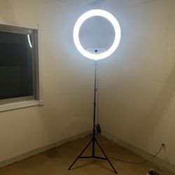 22 Inch Ring Light 
