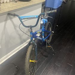 20” Kids Bike 