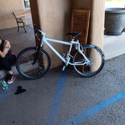 Vintage GT MOUNTAIN bike 