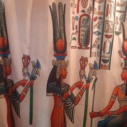 Shower Curtain 