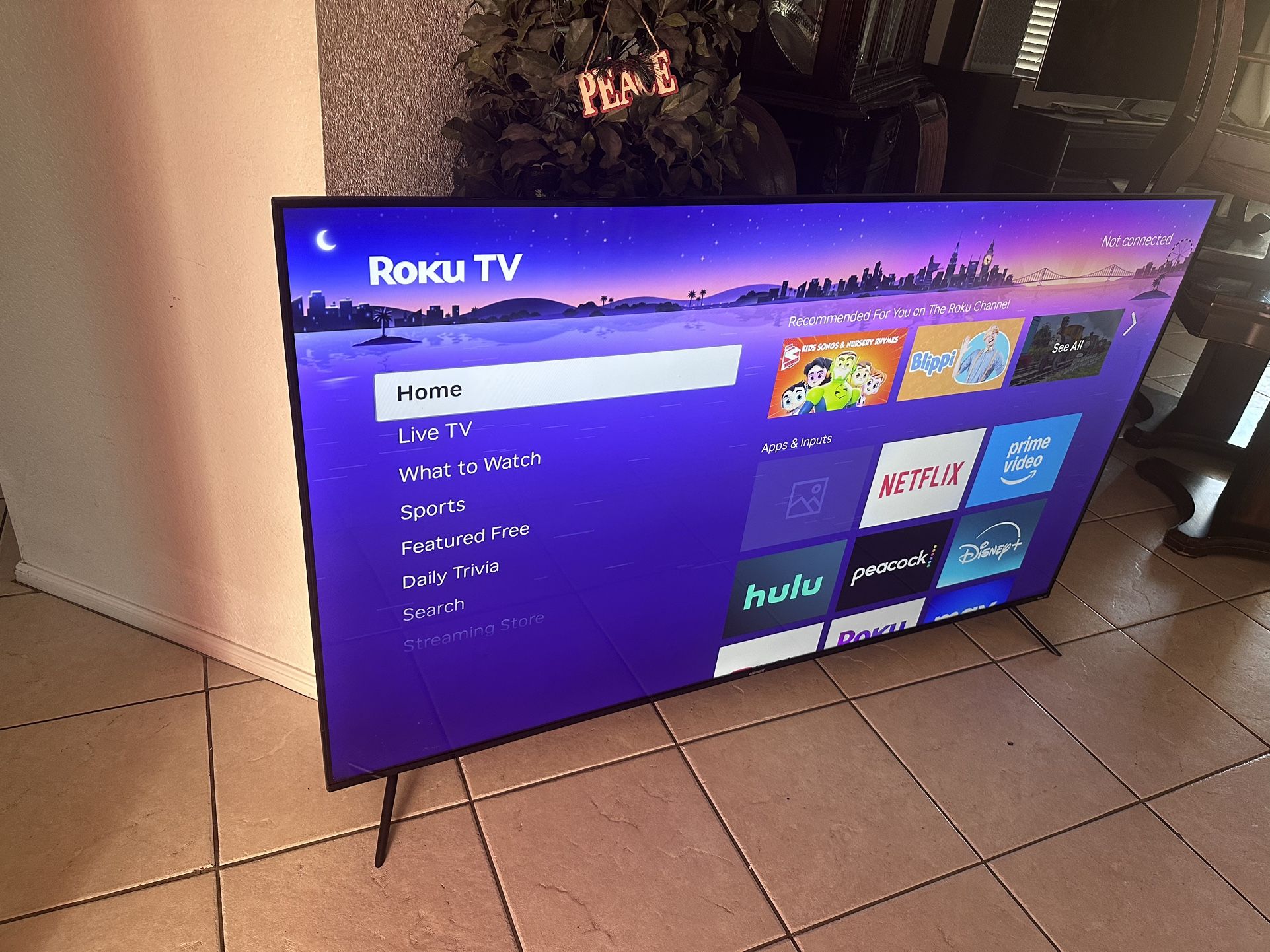 Huge 65” 4k TCL Roku LED Ultra Thin Bluetooth