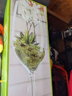 Decorative wine glass